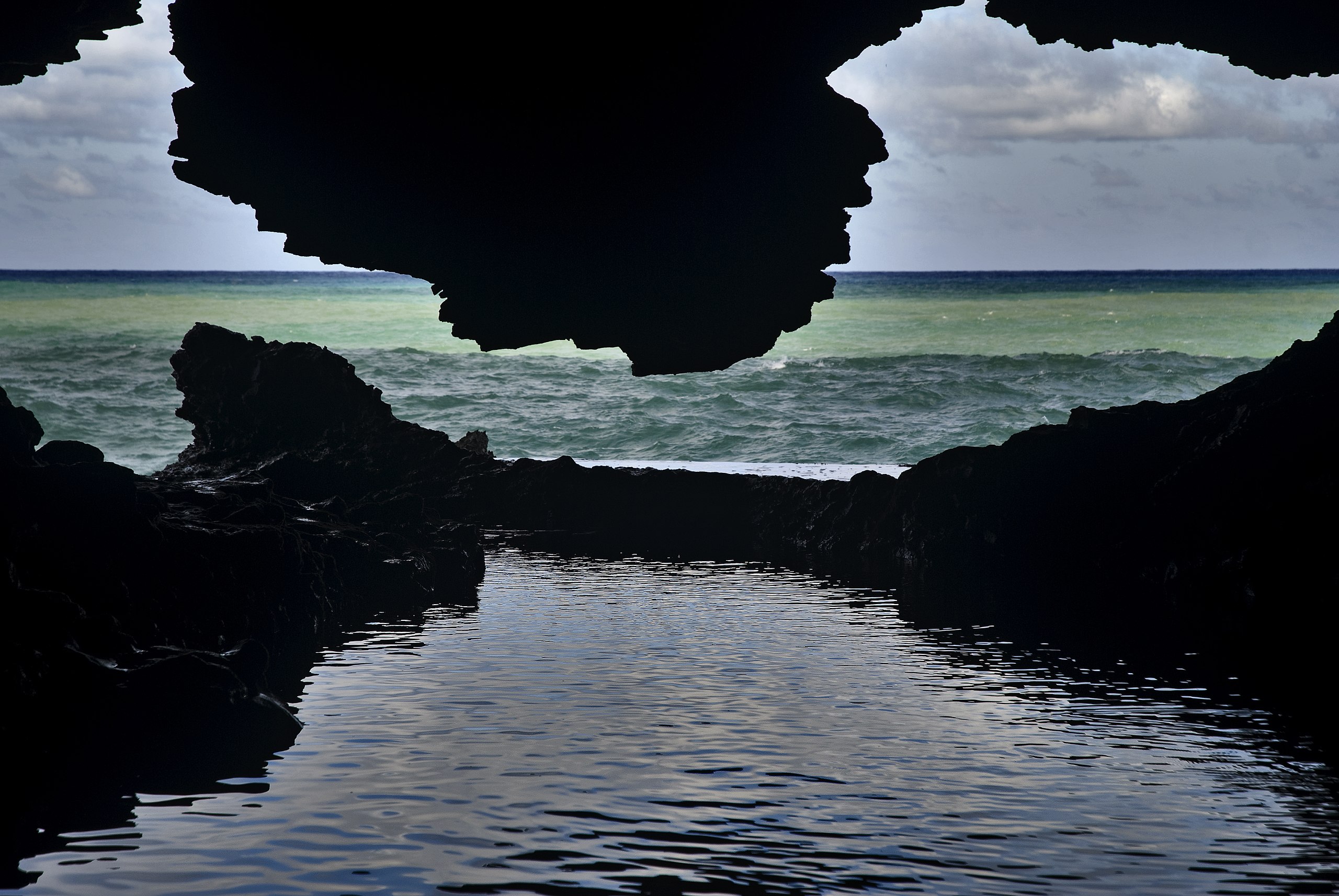Animal Flower Cave