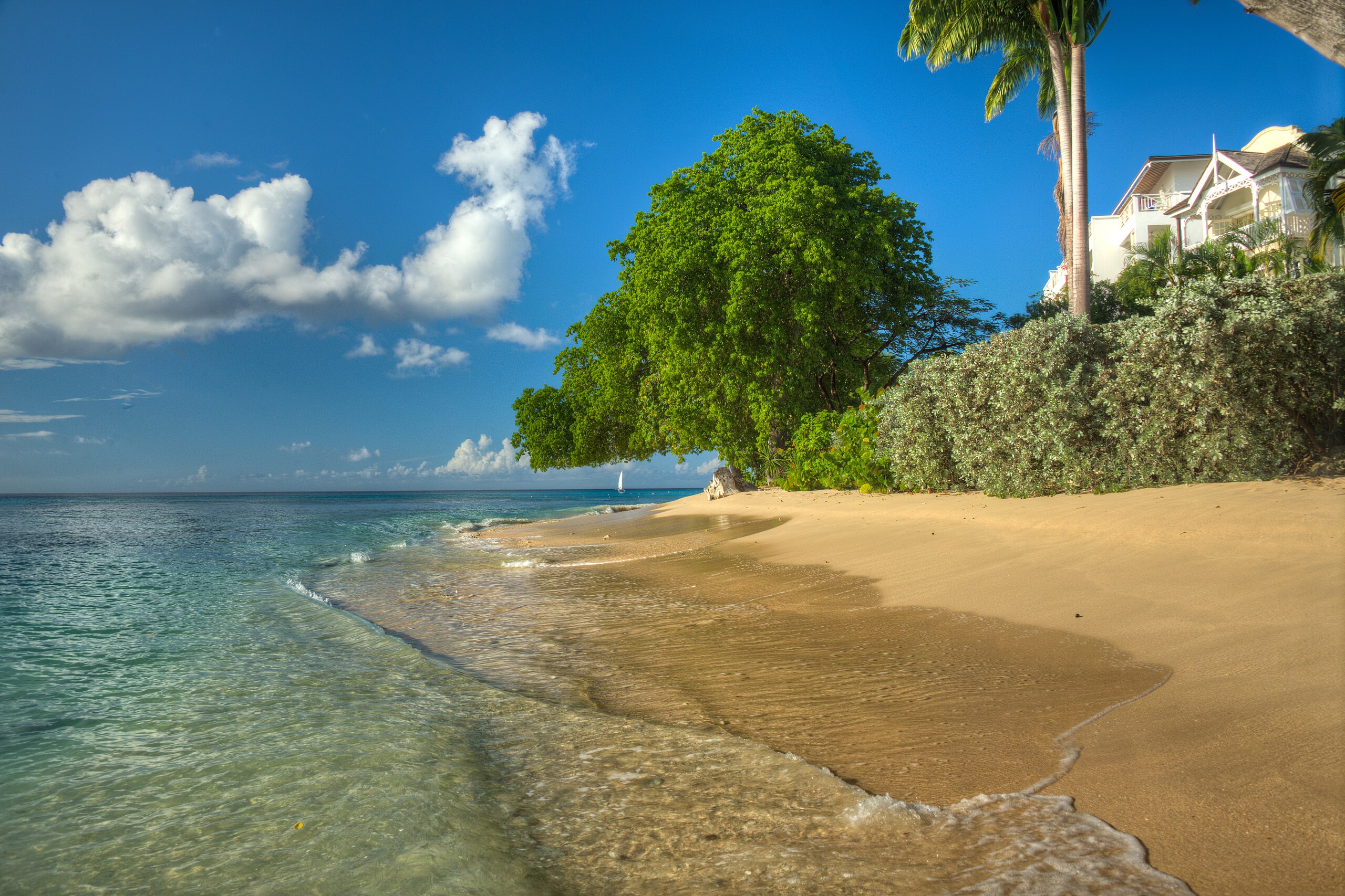 Paynes Bay Barbados