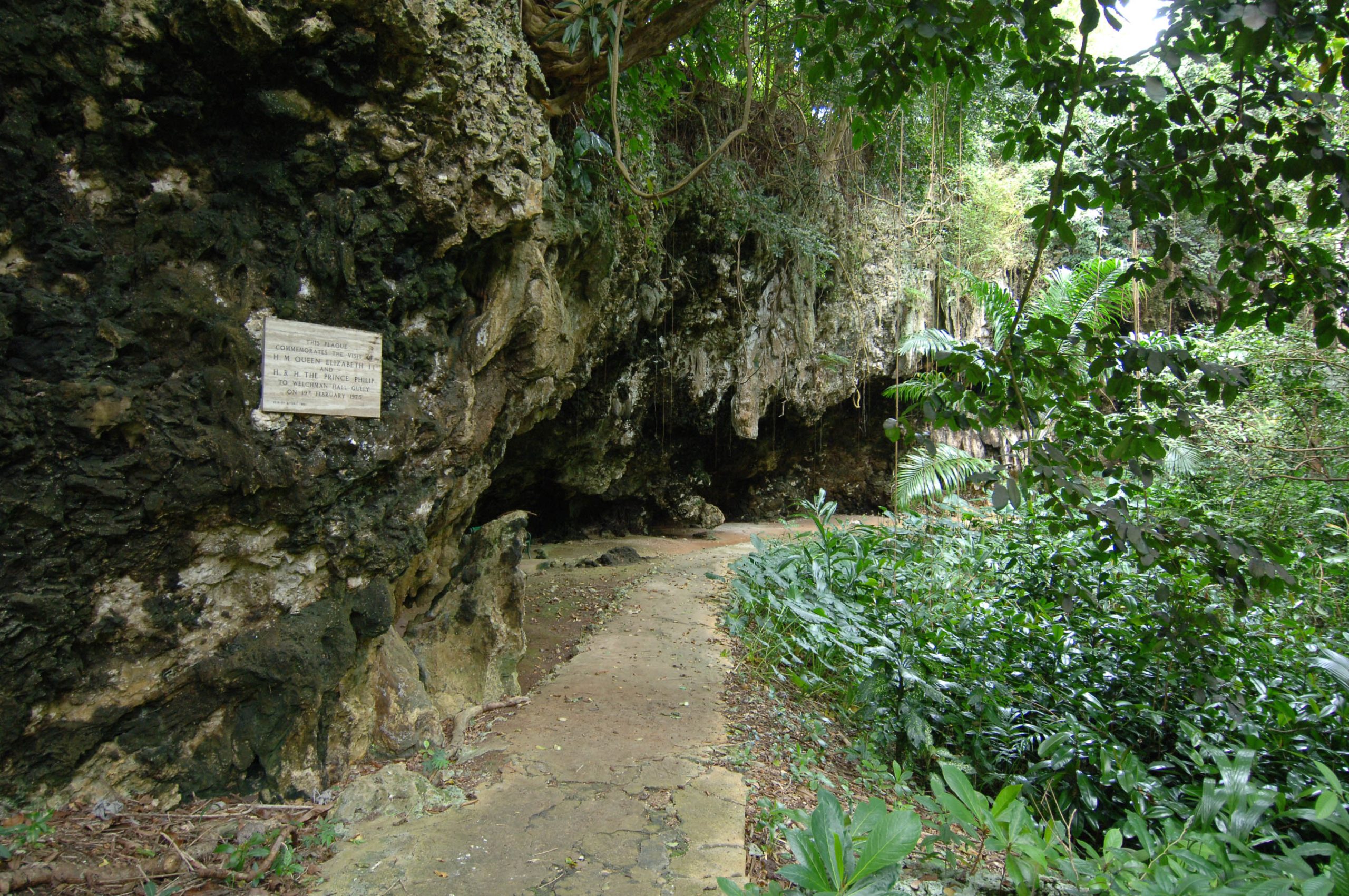 Welchman Hall Gully