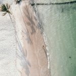 Coast with Palm Trees in Cancun