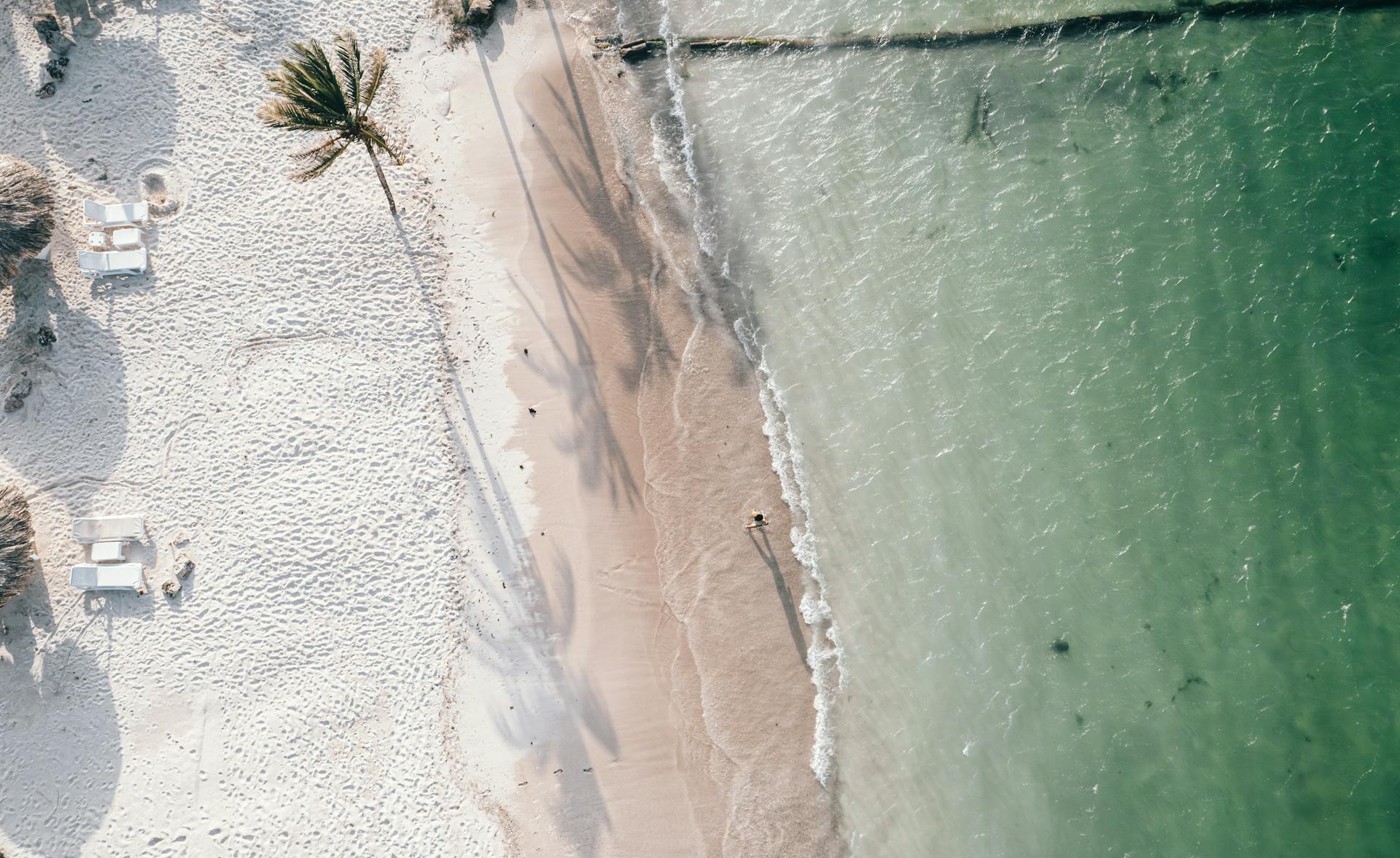 Coast with Palm Trees in Cancun