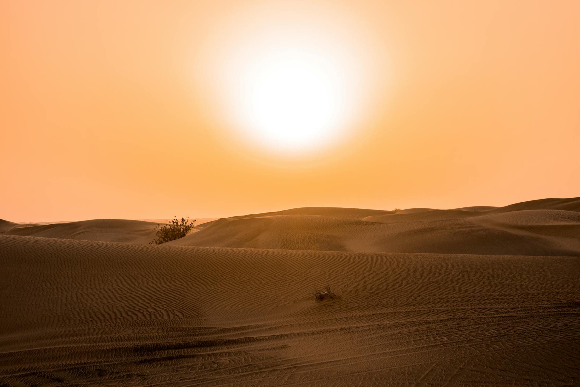 Desert Under Yellow Sunset in Dubai