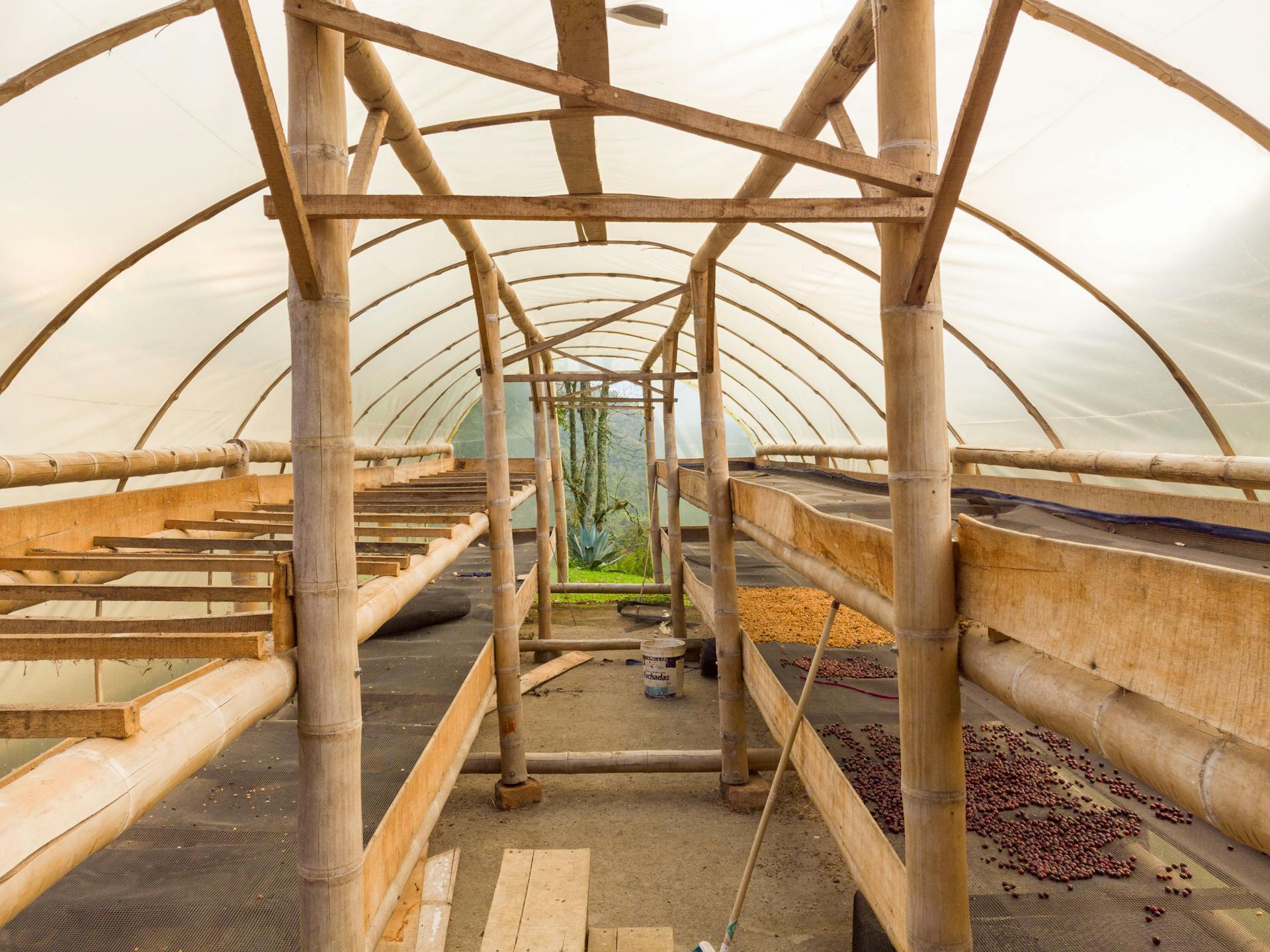 A Greenhouse for a Coffee Farm