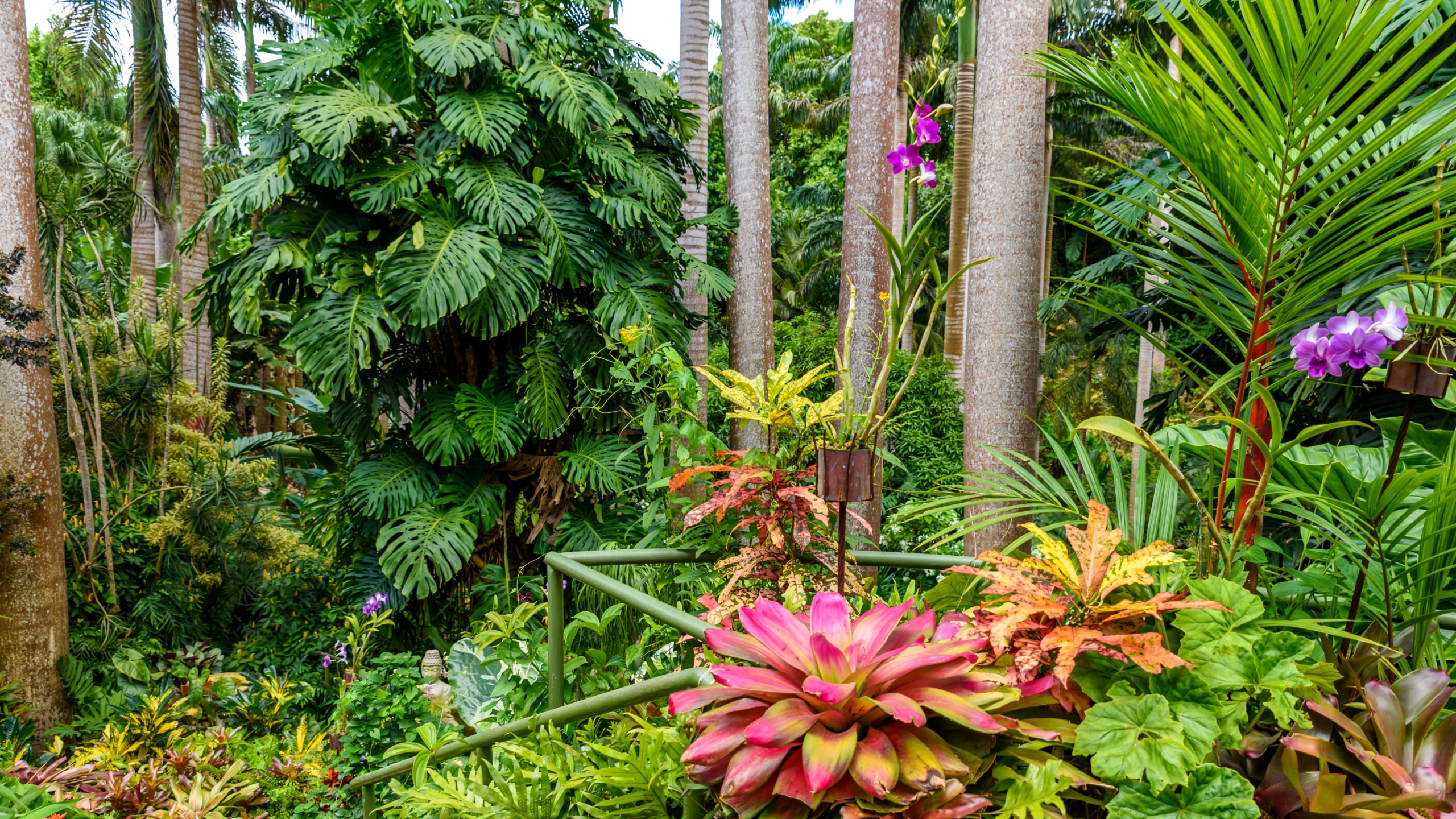 Hunte´s Botanical Garden on the Caribbean island of Barbados. It is a paradise destination with a white sand beach and turquoiuse sea.