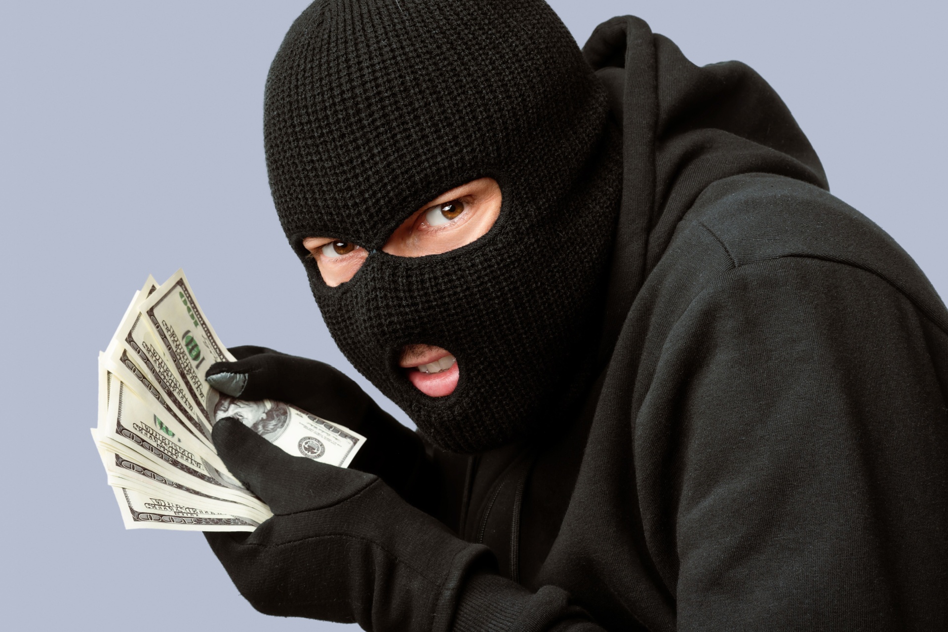 Closeup portrait of sneaky burglar with black mask and gloves counting money and looking at camera, isolated on white