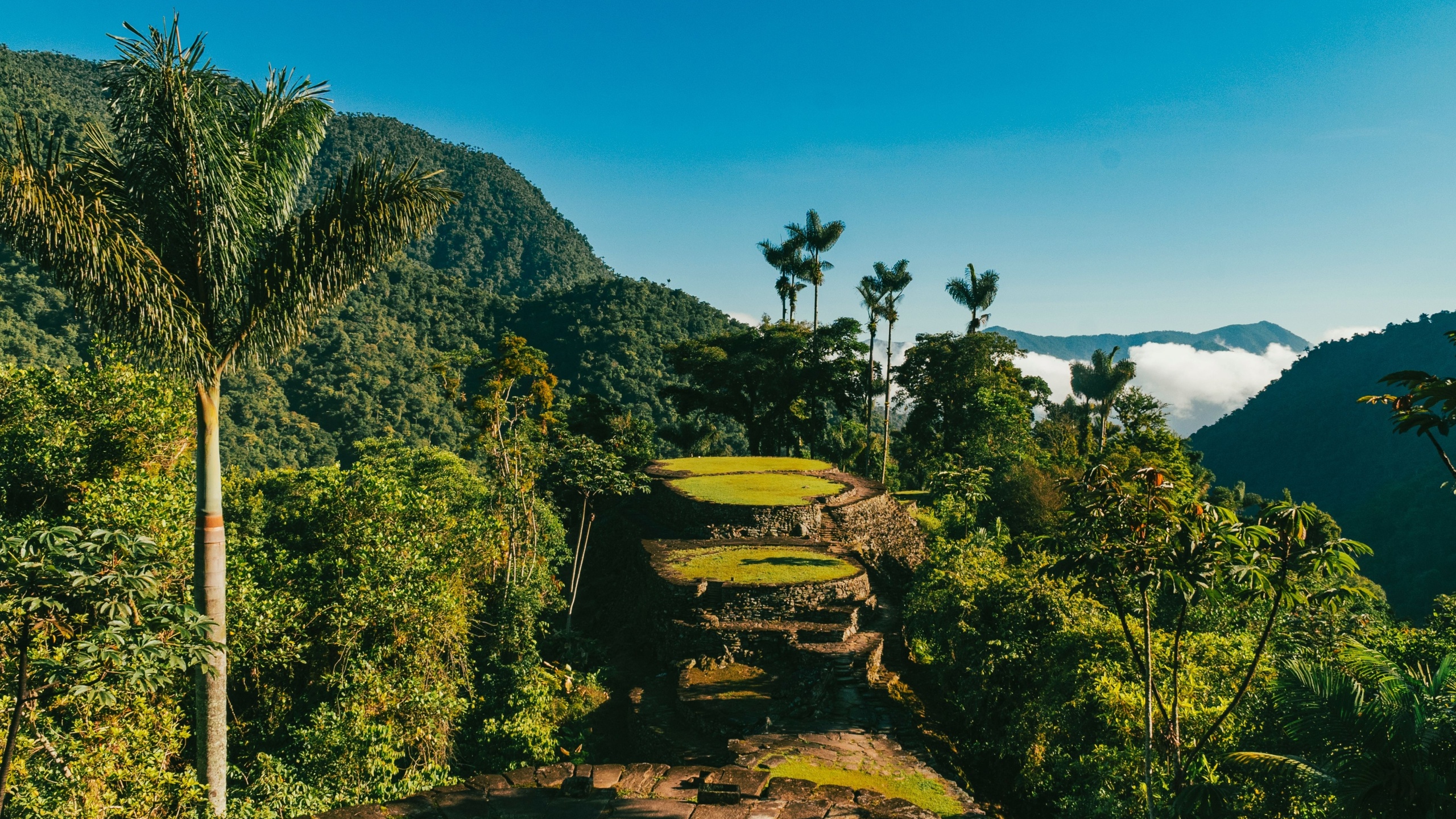 Natural landscapes in the Lost City in Tayrona National Park. Santa Marta Magdalena, Colombia.