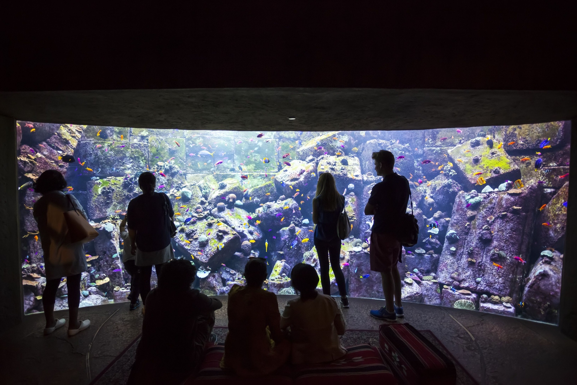 DUBAI, UAE - FEBRUARY 27, 2015: Visitors of Lost Chambers museum in Atlantis Hotel watching aquatic animals in large aquarium.