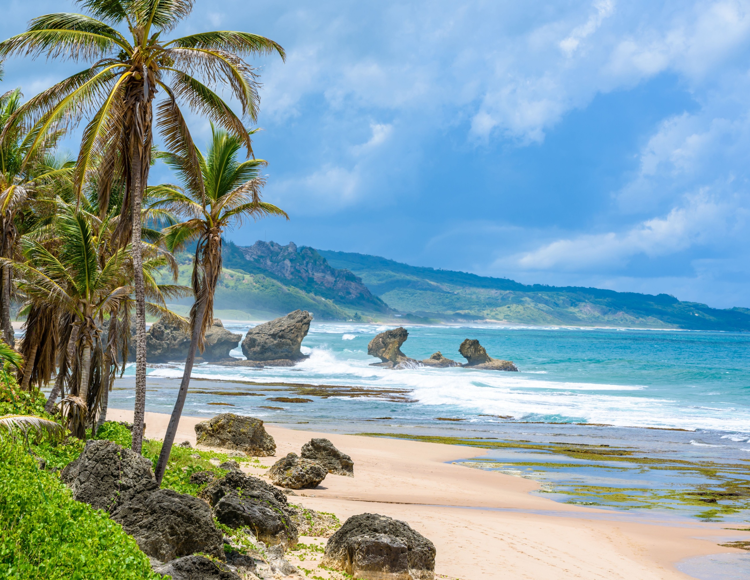 Rock formation on the beach of Bathsheba, East coast of island Barbados, paradise beach and coast of caribbean island - tropical destination for vacation