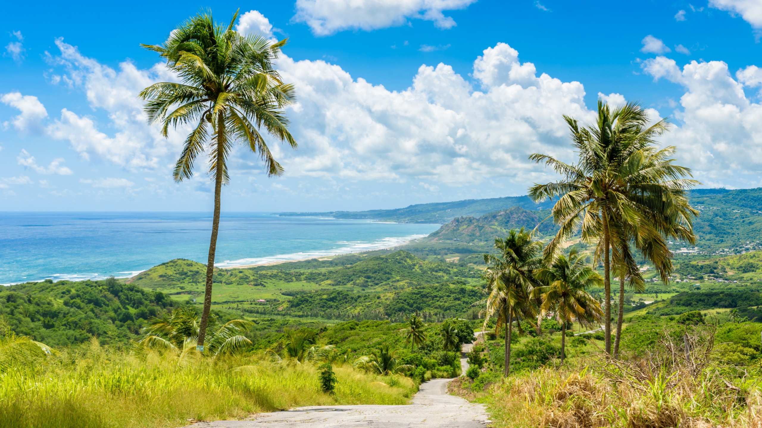 View from Cherry Tree Hill to tropical coast of caribbean island Barbados