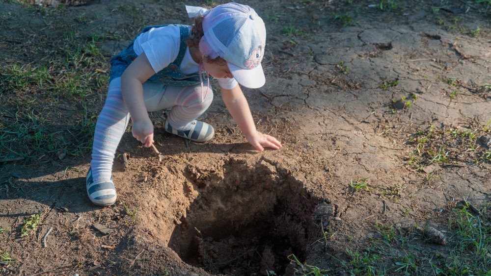 Little child a girl examines a dug hole in the forest