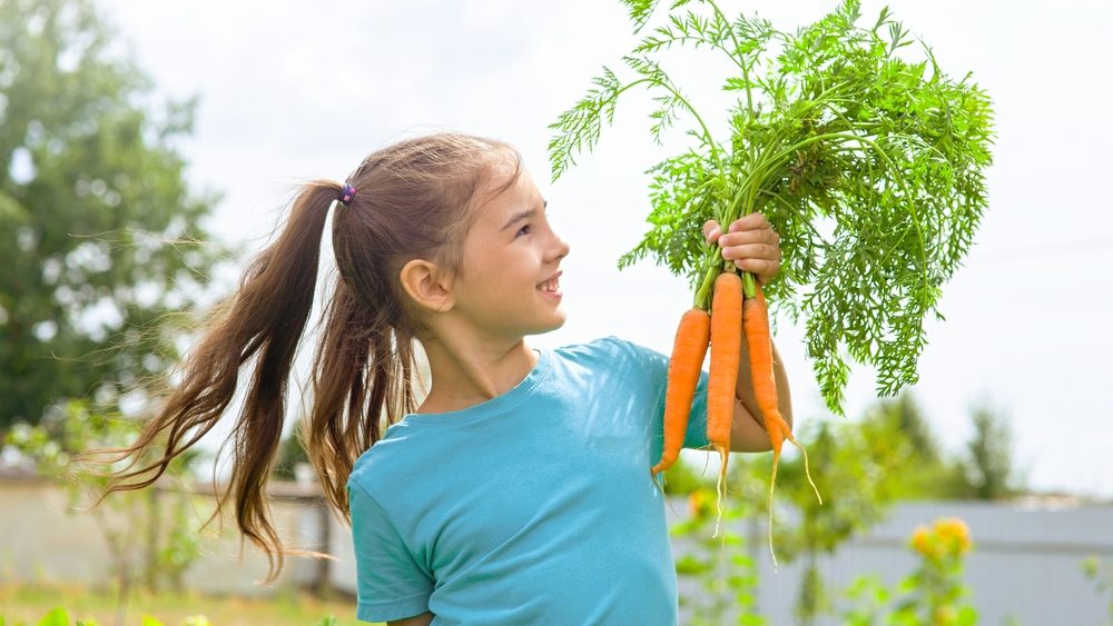 Smiling little girl in a green t-shirt holds a bunch of fresh carrots,