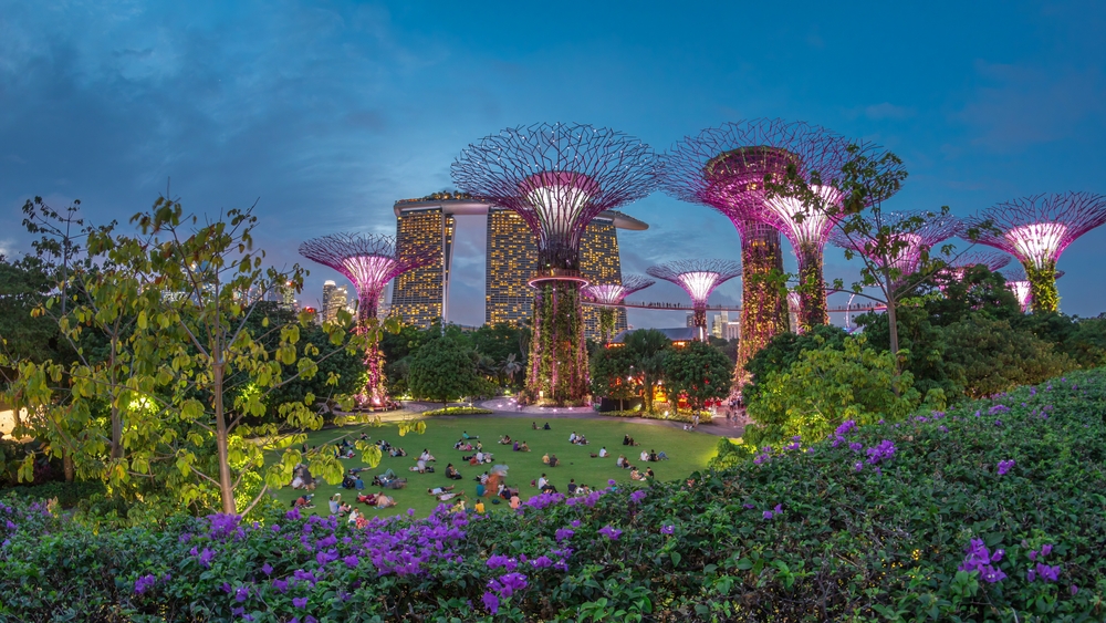 Futuristic aerial view of illumination at Garden by the Bay in Singapore after sunset. Green lawn with viewers. Night light show at Supertree Groveis is main Marina Bay district tourist attraction