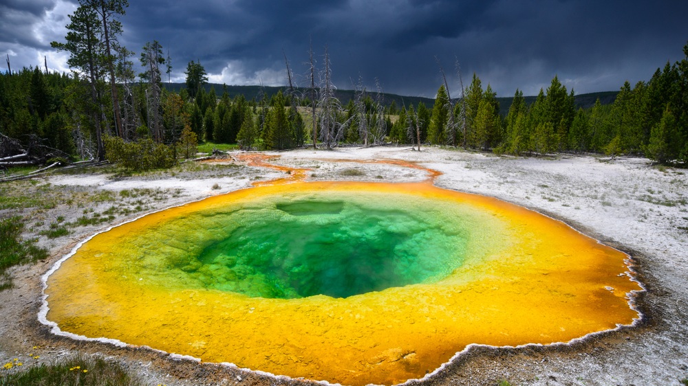 Morning Glory Pool at Yellowstone National Park
